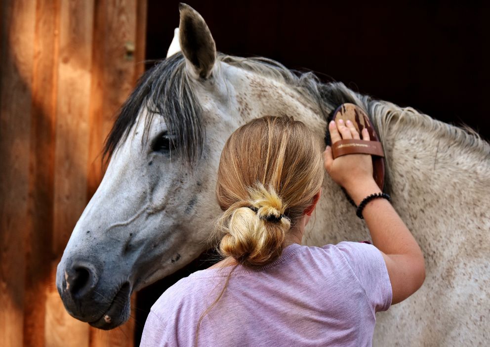 Thoroughbred Horse Groom with horse
